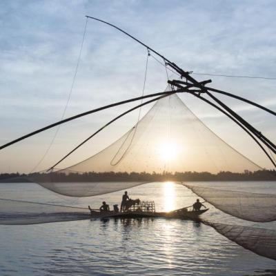 Koh Trong