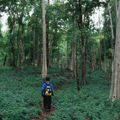 Mondulkiri